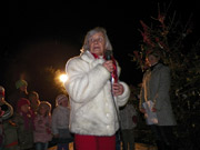 Rozsvícení vánočního stromečku 2012