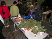 Rozsvícení vánočního stromečku 2012