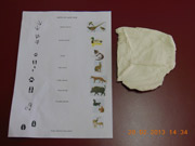 Stopujeme zvířátka