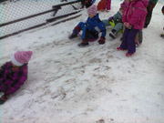 Zimní sáňkování