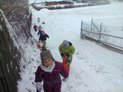 Zimní sáňkování