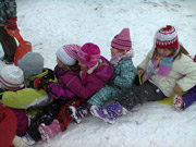 Zimní sáňkování